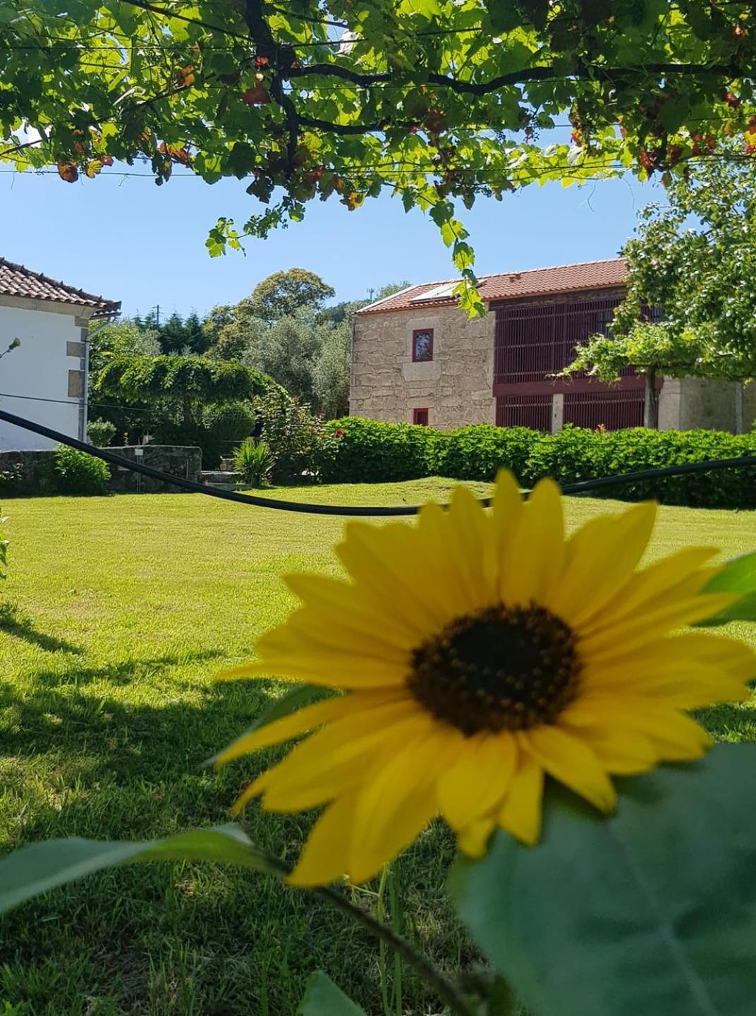 Casas Da Quinta Da Cancela Balugães Eksteriør bilde